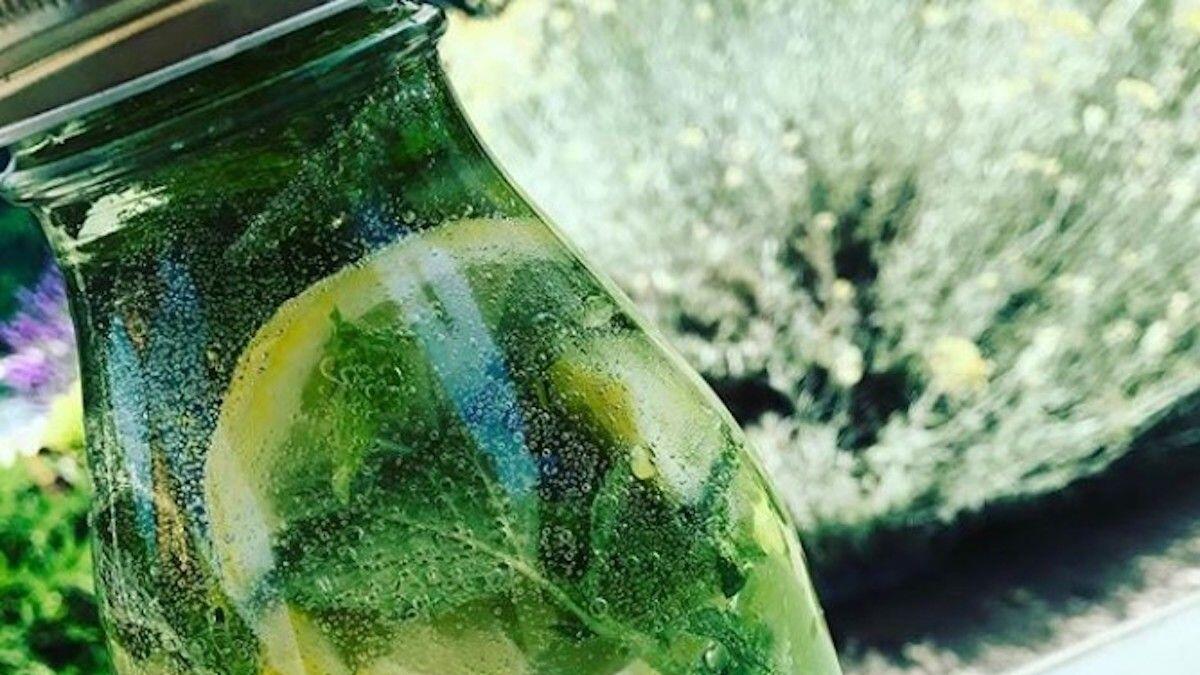 Water flavored with blueberries, mint leaves and lime by thewealthyspoon recommended by Nutritionist Dr. Paola Proietti Cesaretti